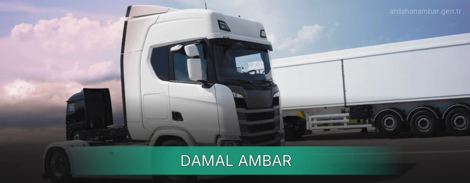 Damal Ambar